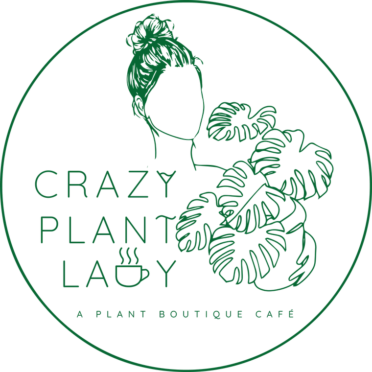 Crazy Plant Lady, a plant boutique caf&eacute; in Ahmedabad