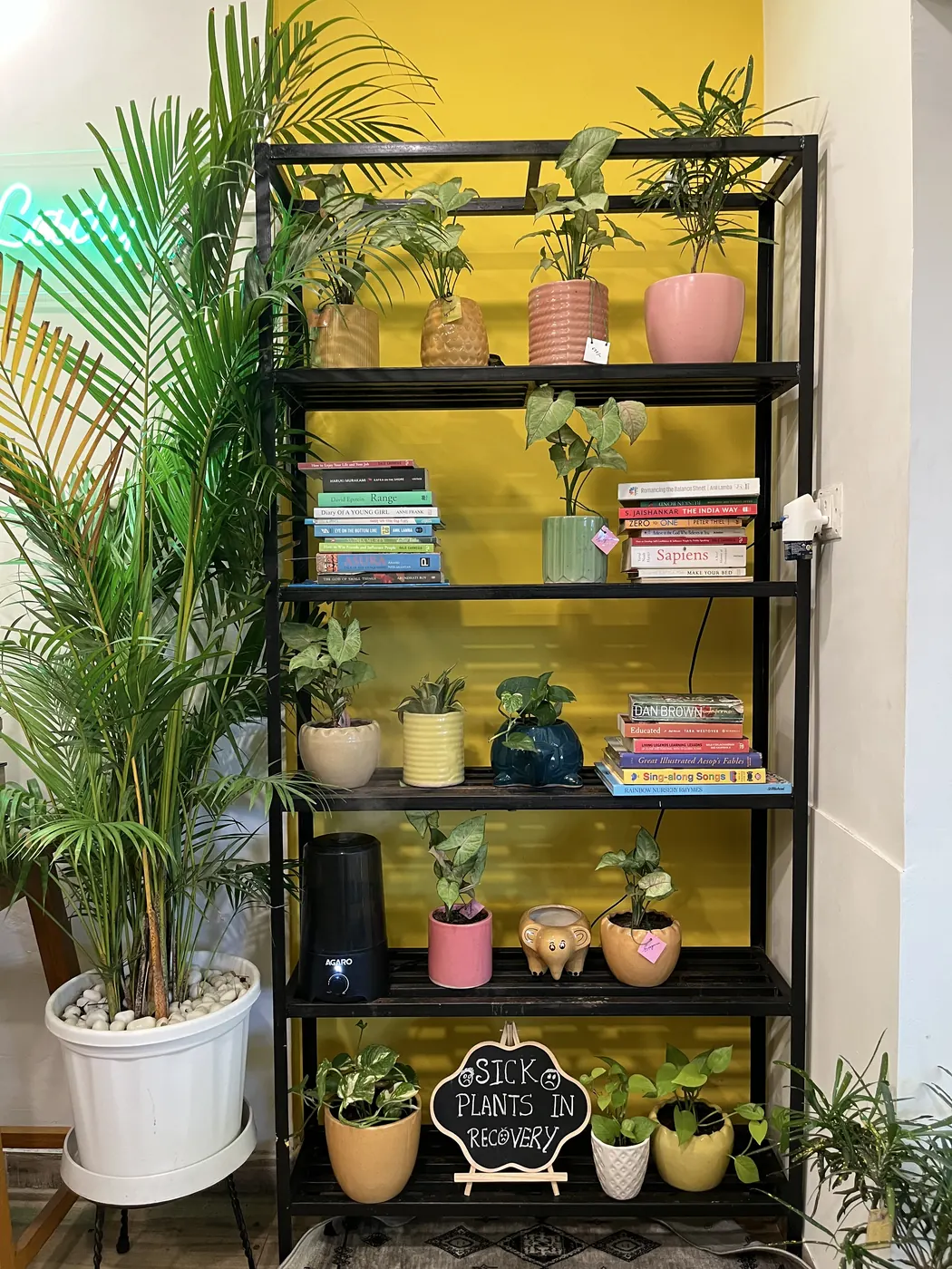 Black metal shelving against a bright yellow wall, filled with plants, books and ceramics
