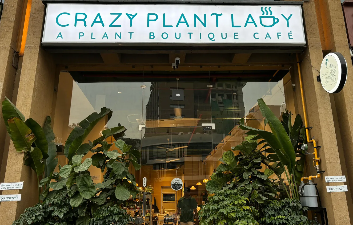 The café sign reading Crazy Plant Lady, a plant boutique café, above a doorway surrounded by greenery